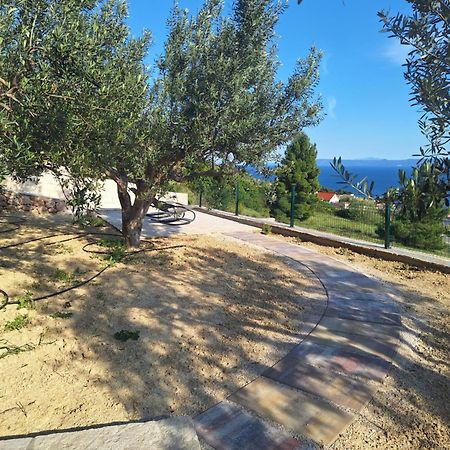 Holiday Home Vineyard House Bol Exterior photo