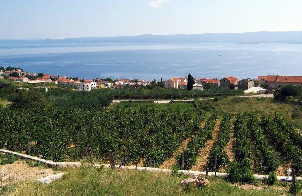Holiday Home Vineyard House Bol Exterior photo